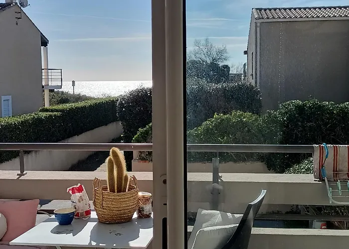 Appartement Face Méditerranée Proche Sète Frontignan